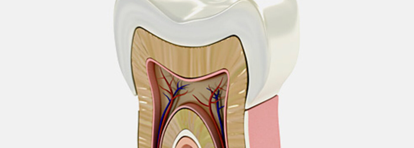 Endodonzia | Studio Dentistico Valdinoci